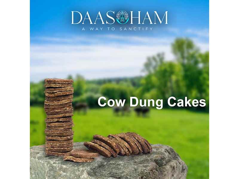 Cow Dung Cake Maker